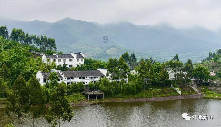 七里河区委主要领导带队调研督导大气污染防治工作