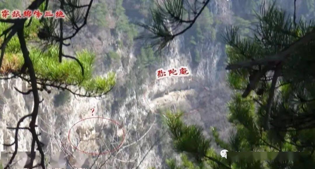 卡通骆驼救援